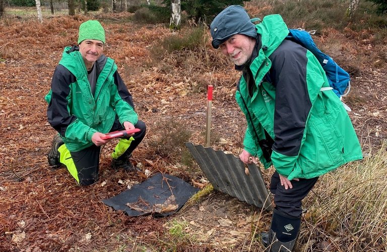 Two people wearing Forestry England uniform working outside on the forest floor.