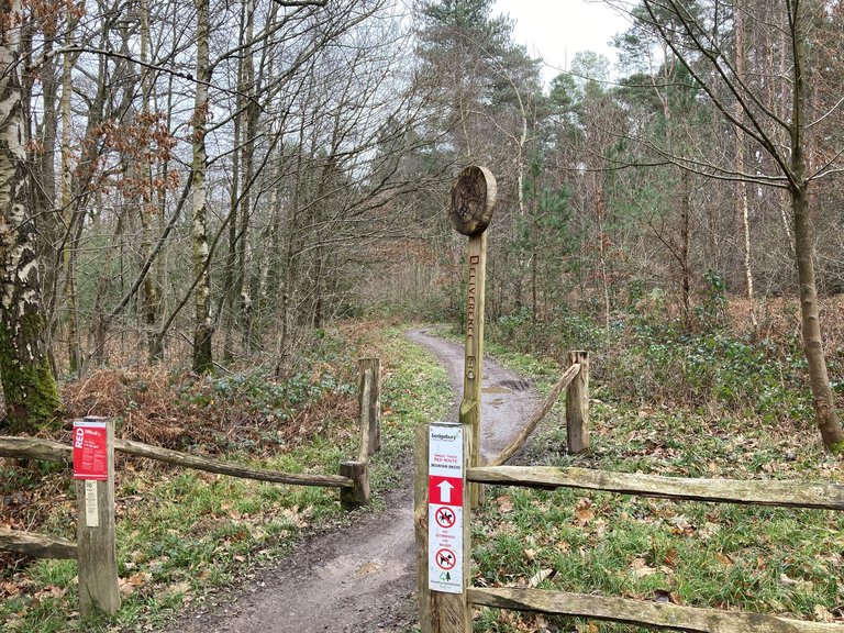 Bedgebury forest singletrack mountain bike trail entrance