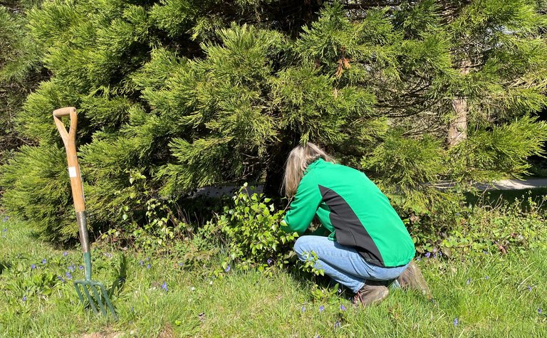A women wearing a green and black jumper and blue jeans kneeling close to a tree with her back to the camera. A garden fork is nearby.