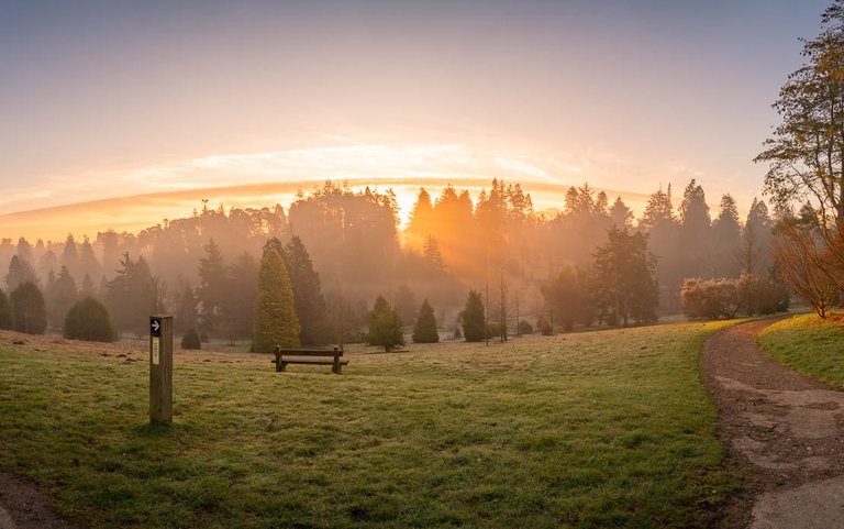 Bedgebury National Pinetum Dallimore Valley sunrise spring small