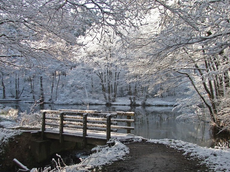 Bridge covered in snow