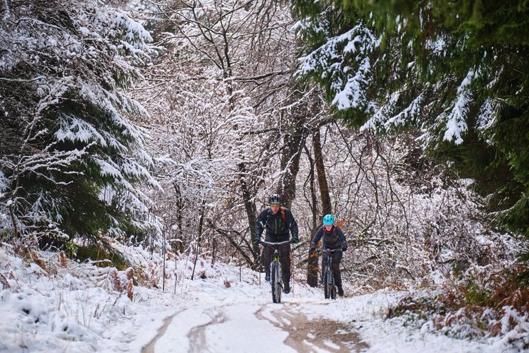 Two cyclists riding up snowy path in the forest