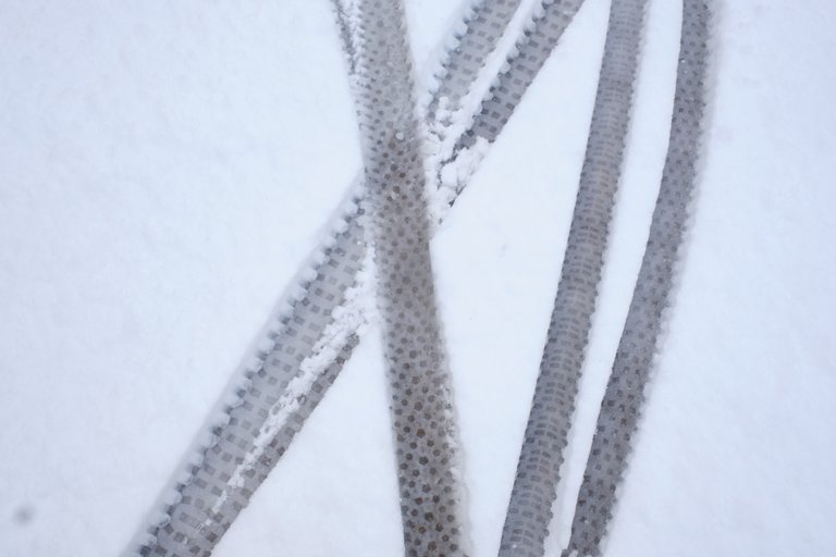 Bike tracks lined in the snow