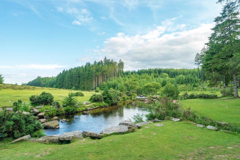 Lake in front of forest landscape on a sunny day