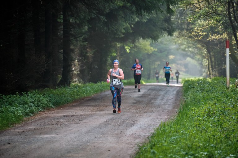 Runners on open forest road during forest running event 