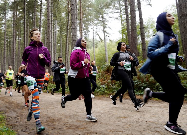 People running in Forest Runner event in a forest