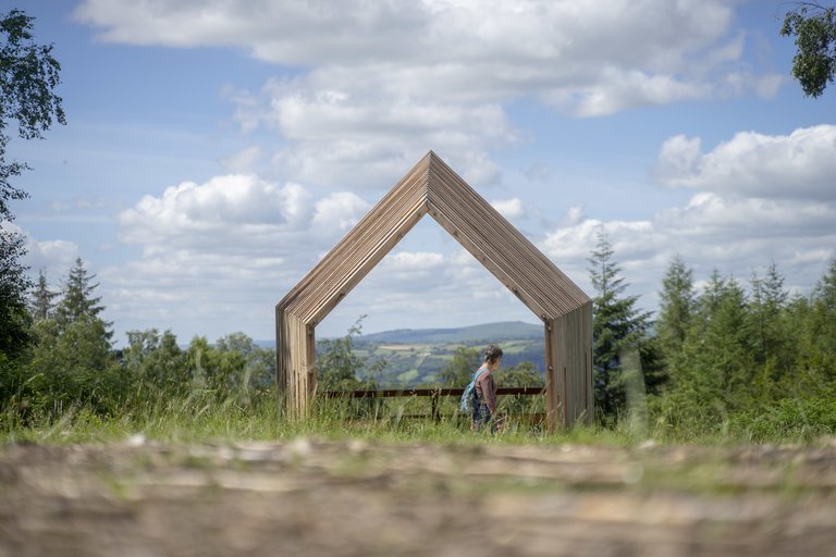 Wildlife hide looking out onto sunny forest