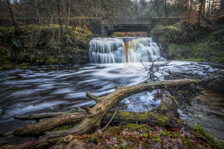 Small waterfall in forest
