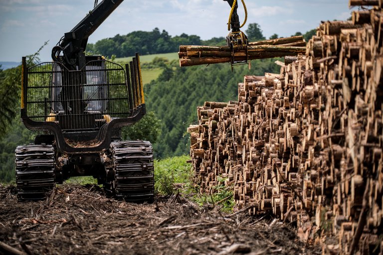 Harvesting machine stacking up timber