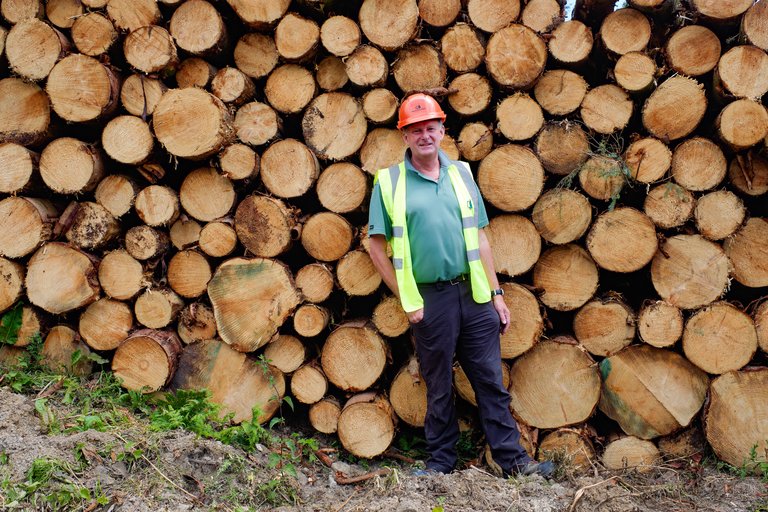 Harvester stood in front of timber stack in high vis and hard hat