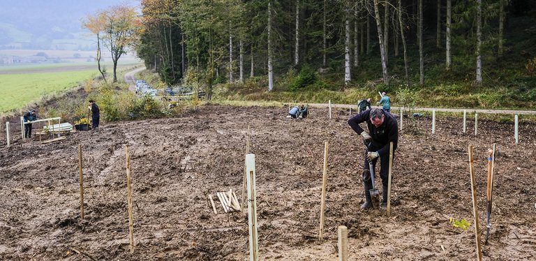 Man shoveling soil in muddy area next to forest