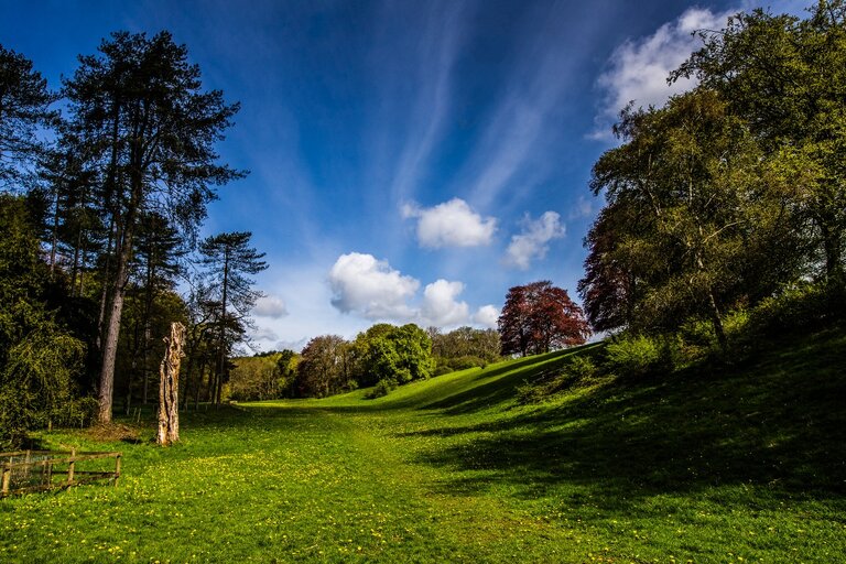 a grassy verge with trees aligning each side.