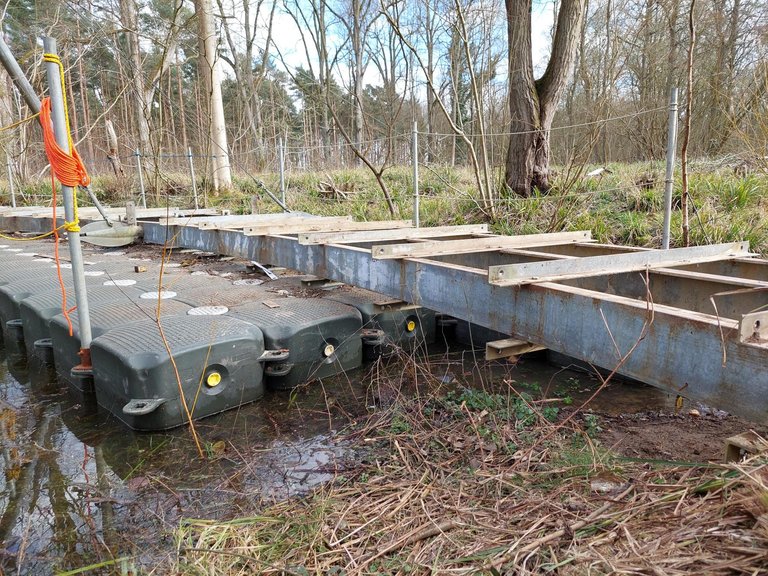 building work in a forest