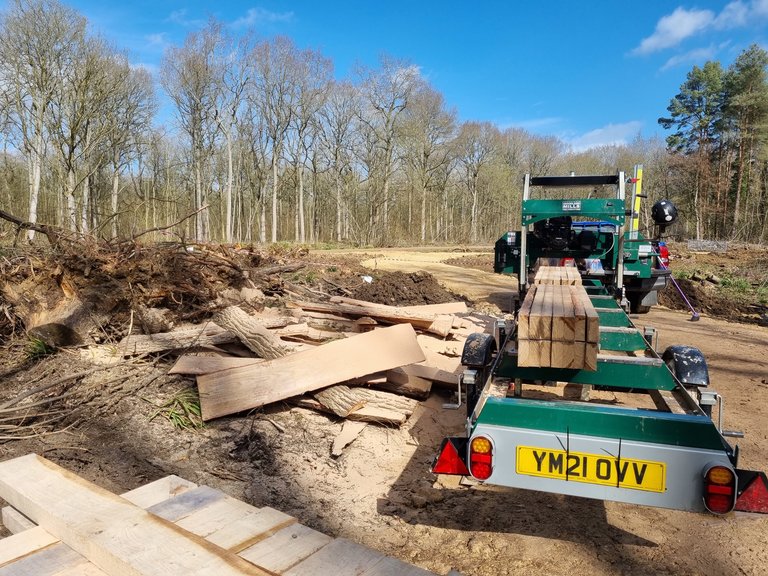 Vehicle moving wooden planks in a forest