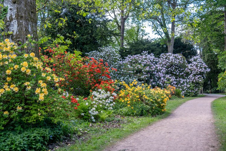 A colourful spring landscape with path on right
