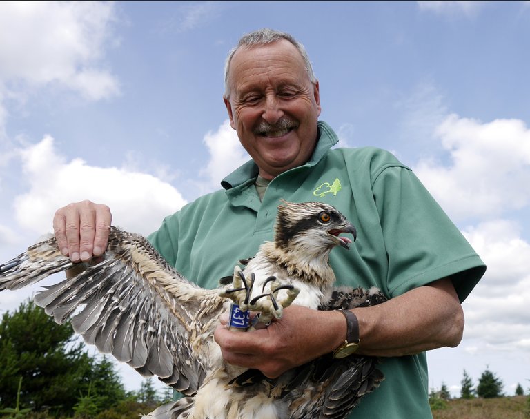 Man holding Osprey