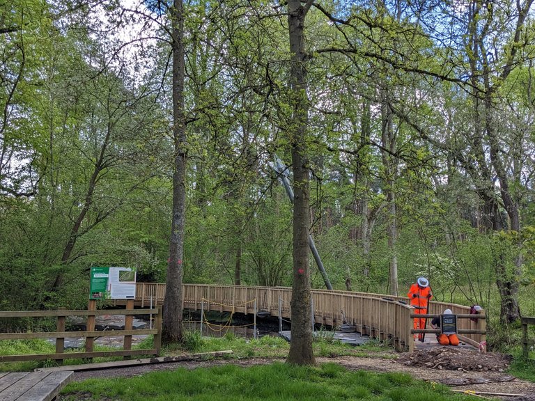 Two workers in high-visibility clothing on a wooden bridge in a forest.