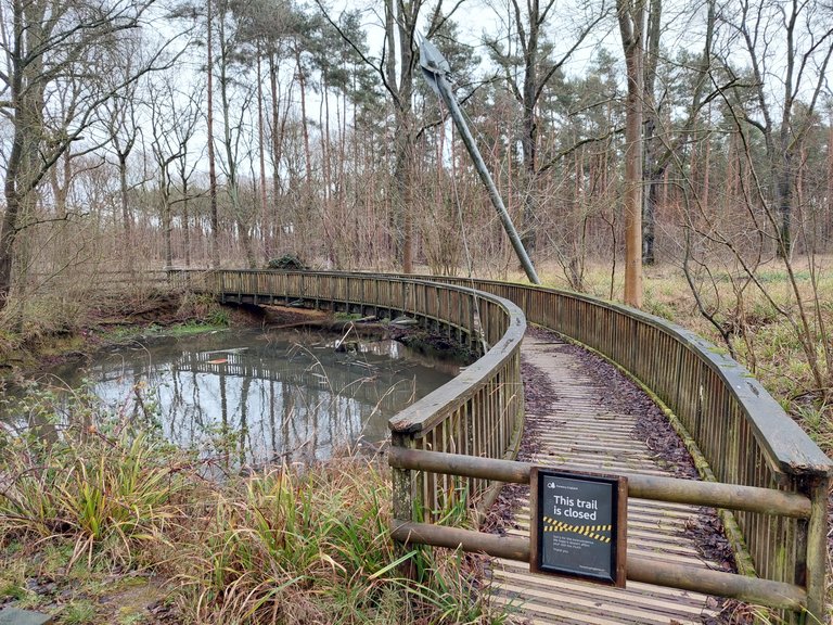 The Elephant Bridge at Salcey Forest shown with a 'closed' sign 