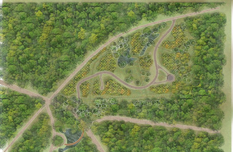 Artists Impression of The Glade at Salcey Forest