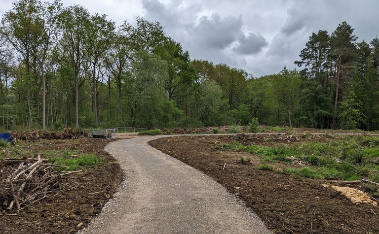 A grey path edged with soil leading towards a forest.