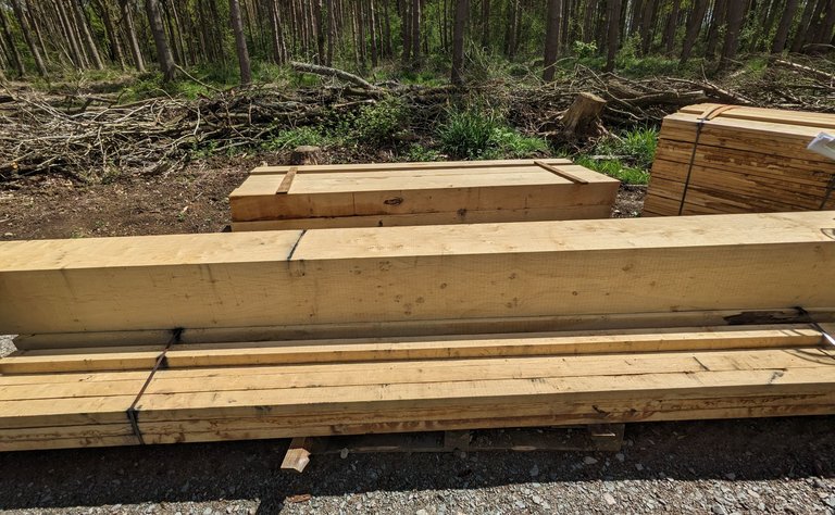 Stacks of green oak planks shown on the forest floor, with tree trunks in the background.