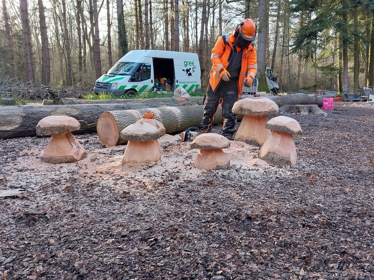 A worker in safety clothing and a chainsaw sculpting wooden toadstools