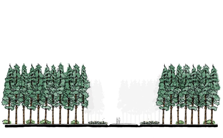 A digital sketch showing two areas of trees to either side of a path