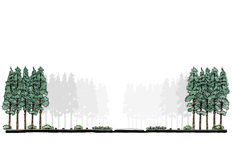 A digital sketch showing a wide open space between two small areas of trees