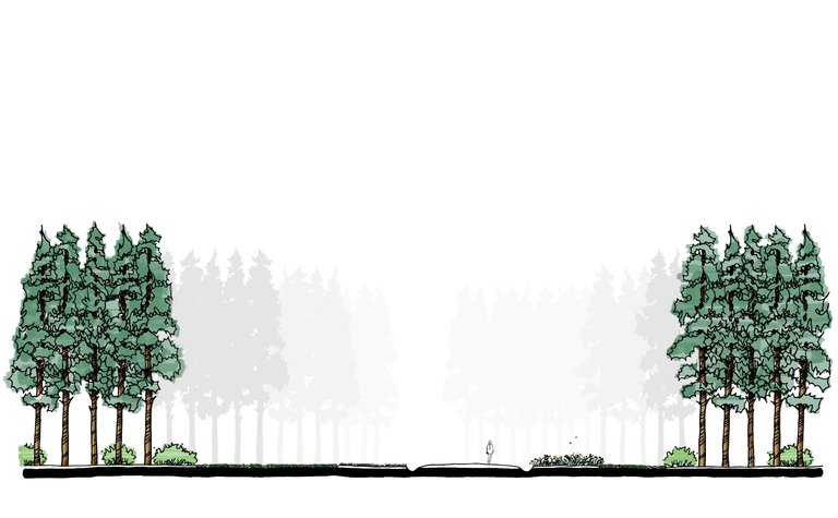 A digital sketch showing a wide track between two trees with two figures walking along