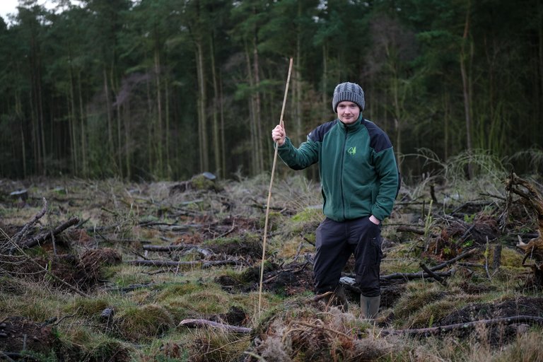 Tree planter stood in mossy land holding a stick