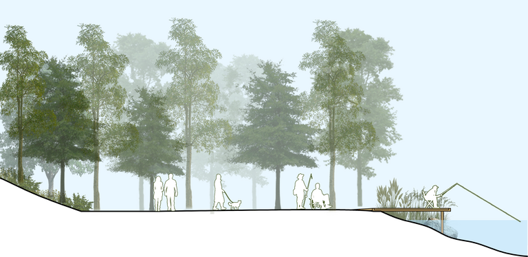 Illustrative section showing how an accessible fishing platform can integrated into Lower Cannop.