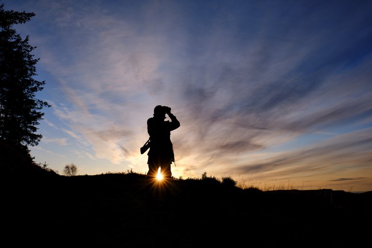 Silhouette of forest worker looking through binoculars with sun setting behind them 