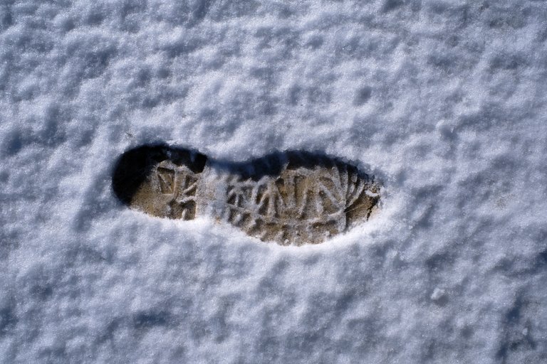 Footprint in crisp layer of snow