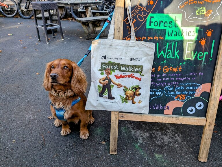 A brown dog on blue lead sits next to a wooden A-frame sign advertising a Forest Walkies trail.