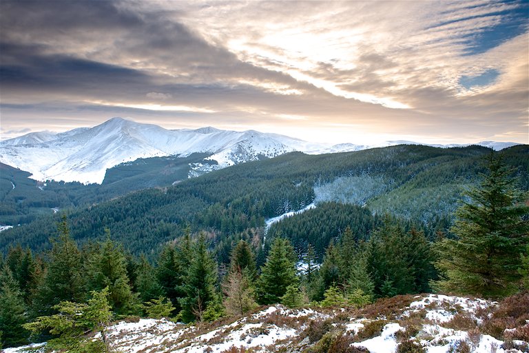 Whinlatter Winter