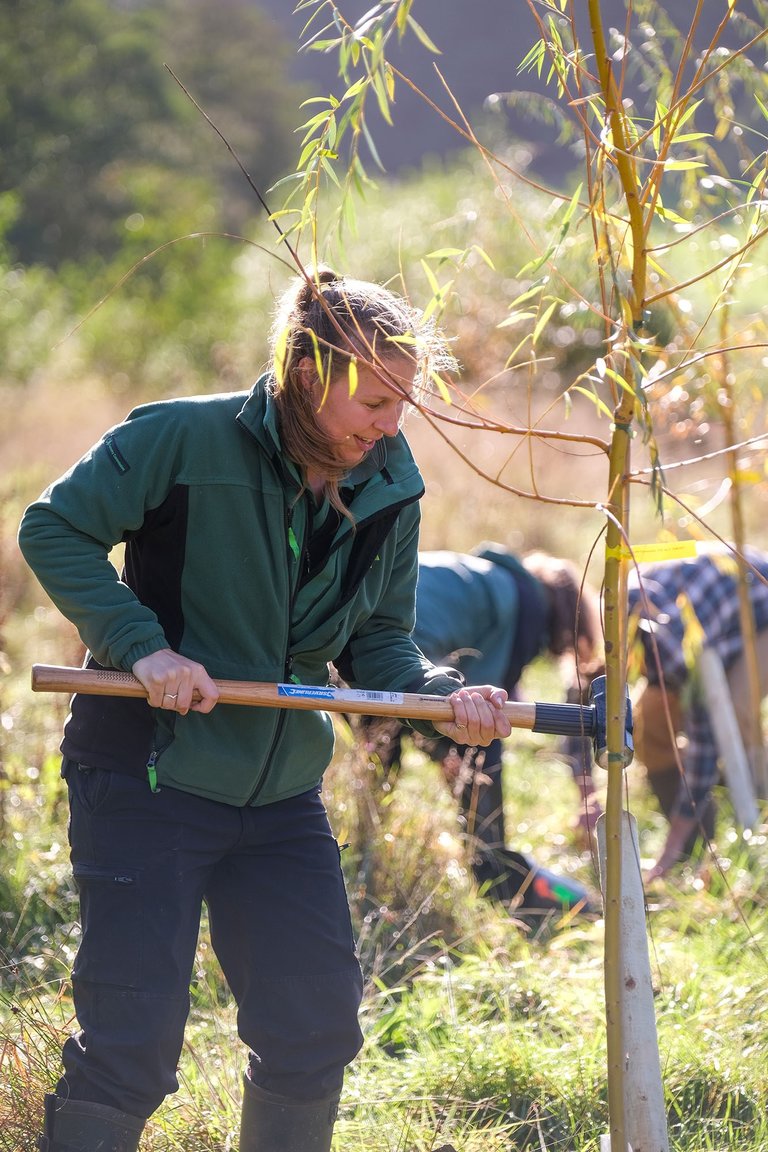 Female Forestry England worker with mallet 