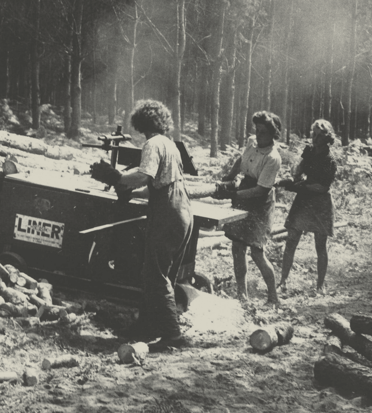 black and white photo of female forestry workers