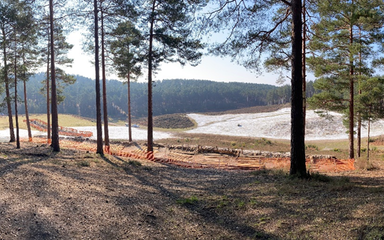 Forest landscape with fenced off area